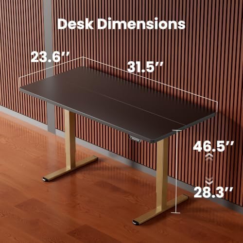 ErGear Height Adjustable Electric Standing Desk, 32 x 19 Inches Sit Stand up Desk, Memory Computer Home Office Desk, Black+Gold - Image 3