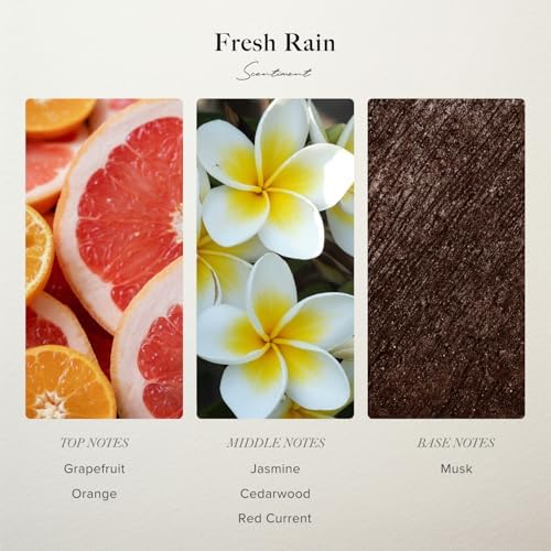 Scentiment Fresh Rain Diffuser Oil - Premium Hotel Scent with Notes of Jasmine, Grapefruit and Red Currant Home Scent, Hotel Fragrance Oil Diffuser Refill - 1.69 fl oz (50 mL) - Image 3