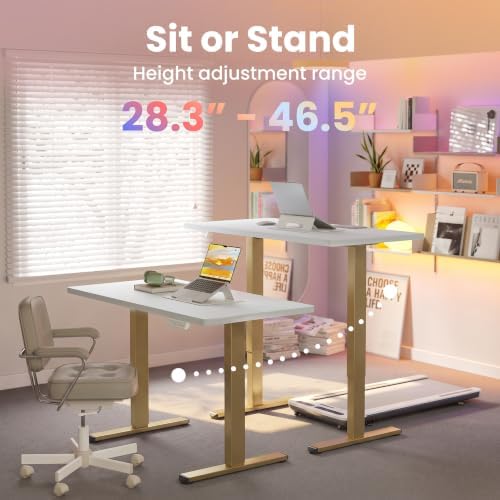 HUANUO 48x24 Inch Electric Standing Desk, Height Adjustable - Image 4
