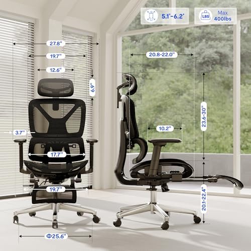 FLEXISPOT ErgoX Premium Ergonomic Office Chair Black-FT - Image 2