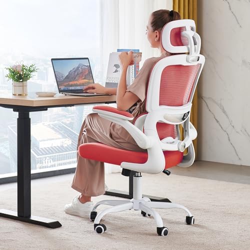 TRALT Office Chair Ergonomic Desk Chair - Gaming Chair with Lumbar Support by TRALT