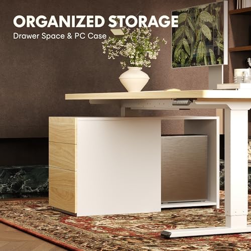 FLEXISPOT EN2 55"x28" Standing Desk Bundle with Storage Cabinet - Image 4