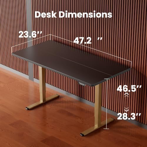ErGear Height Adjustable Electric Standing Desk, 48 x 24 Inches Sit Stand up Desk, Memory Computer Home Office Desk, Black+Gold - Image 3