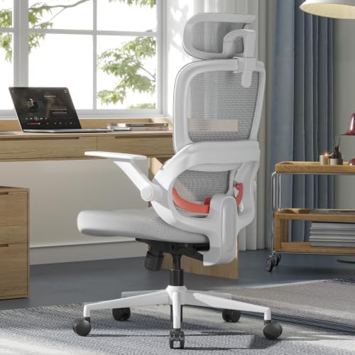 SIHOO B100 SE Ergonomic Office Chair, Desk Chair with Lumbar Support by SIHOO