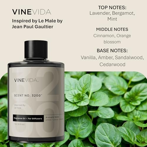 VINEVIDA [16 Fl Oz] Scent NO. 3200 Fragrance Oil for Cold Air Diffusers, Aromatic Notes of Lavender, Bergamot, Mint & Cinnamon Essential Oils for Diffuser Oil Refill & Air Freshener Spray - Image 2