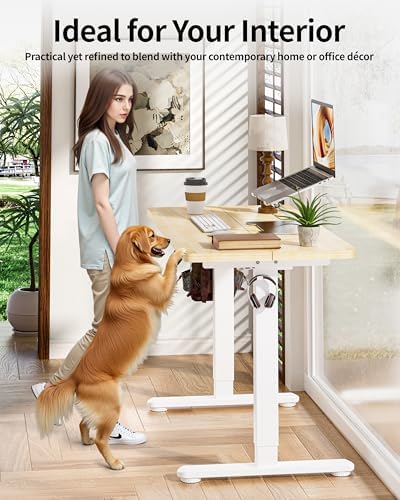 BIZUM Standing Desk Electric Adjustable Computer Desk-Stand up Desk Office Gaming Home Office Memory Desks 48x24 inches Maple - Image 6
