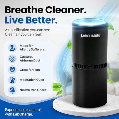 Lab Charge Small Ionic Air Purifier for Home & Bedroom – Silent HEPA Filter – Covers 250 Sq Ft - Free Cleaner for Pets, Hair, Smoke, Dust, Odors & Dander – Compact & Black Design - Pack of 3 - Image 2