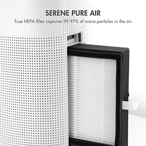 Tenergy Sorbi 1000ml Air Dehumidifier w/Purifying Function, True HEPA Filter, Auto Shutoff, Touch Control Adjustable Air Speed, Ultra-Quiet, Ideal for Closets & Bathrooms - Image 5