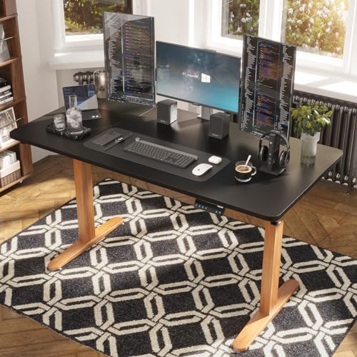 Monomi Electric Standing Desk 55”x24”, Height Adjustable Desk with Wheels by MONOMI