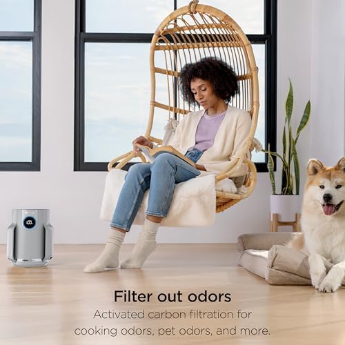 Shark NeverChange Compact Pro Air Purifier 2 pack, HP0712GY1, Dark Grey - Image 7