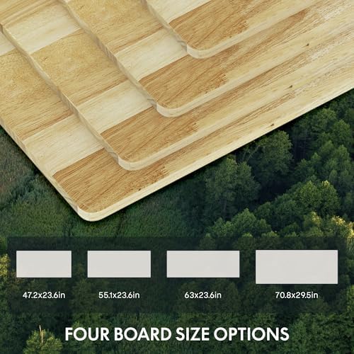FLEXISPOT E6 Solid Wood 3-Stage Dual Motor 63 x 24 Electric Standing Desk, Holds 220 lbs, Adjustable Height w/Memory Presets, Butcher Block Rubberwood Desktop & White Frame, Ships in 2 Boxes - Image 5