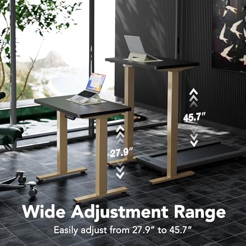 HUANUO 32" Small Electric Standing Desk Adjustable Height, 4 Memory Height Settings, Sit Stand Up Desk for Home Office & Computer Workstation, Black and Gold Frame - Image 3