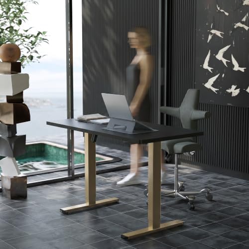 HUANUO 48x24 Inch Electric Standing Desk, Height Adjustable - Image 2