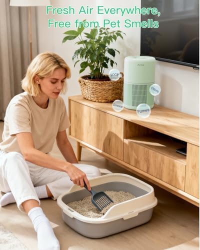 2 Pack Air Purifier for Home Bedroom with H13 True HEPA Filter for Smoke, Smokers, Dust, Odors, Pollen, Pet Dander | Quiet 99.9% Removal to 0.1 Microns | Green Available for California - Image 2