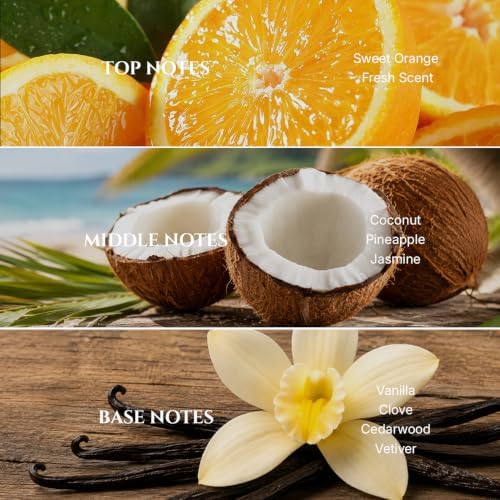 AROMADD Coconut Vanilla Diffuser Oil Inspired by Luxury Hotel Scent, 100 mL - Image 2
