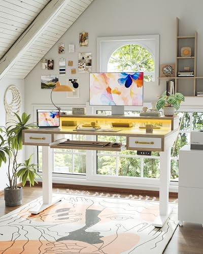 TIQLAB Standing Desk with Two Drawers, Stand Up Standing Desk Adjustable Height, Electric Sit Stand Table with Storage Shelf and Splice Board, with LED Light, 47 * 28 inch, Maple - Image 2