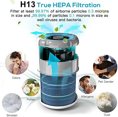 2 Pack Air Purifier for Home Bedroom with H13 True HEPA Filter for Smoke, Smokers, Dust, Odors, Pollen, Pet Dander | Quiet 99.9% Removal to 0.1 Microns | White Available for California - Image 3