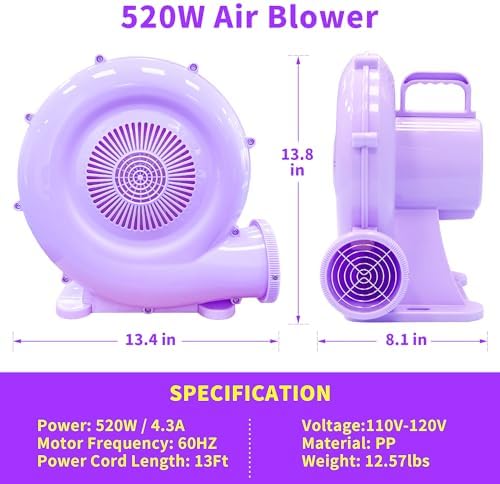 WELLFUNTIME Multi‑Purpose Portable Electric Air Blower (0.7HP 520W) - Image 6