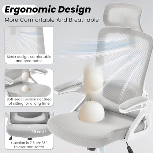 Fizzin Office Chair Mesh Computer Chairs with Adjustable Lumbar Support - Image 6