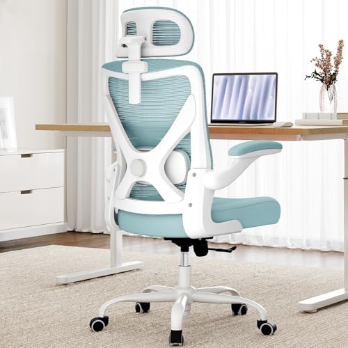 Ergonomic Office Chair: Mesh Desk Chair Comfy with Headrest& Lumbar Support by Ergalithic