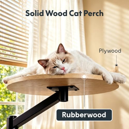 FLEXISPOT EN2 55"x28" Standing Desk with Solid Wood Cat Bed, White - Image 3