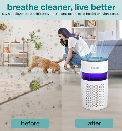 SereneLife Portable Air Purifier - Small Air Purifier with Aroma Box & Ambient Light, High Filtration Efficiency, 2-Speed, Timer & Sleep Mode, Filter Change Reminder, 6 x 6 x 12 in. (White) - Image 5