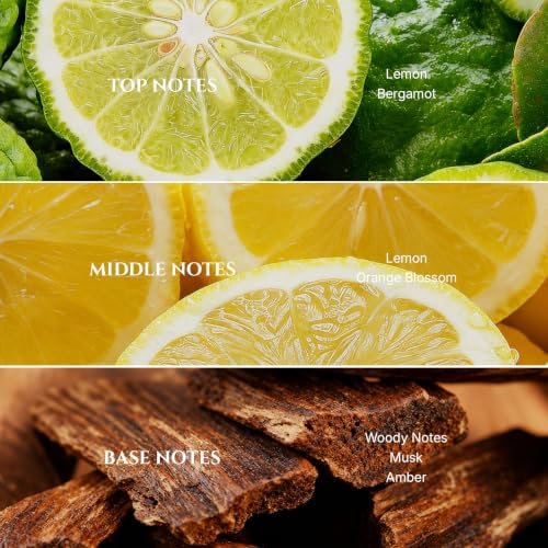 AROMADD Citrus Hotel Diffuser Oil Inspired by Luxury Hotel Scent, 100 mL - Image 2