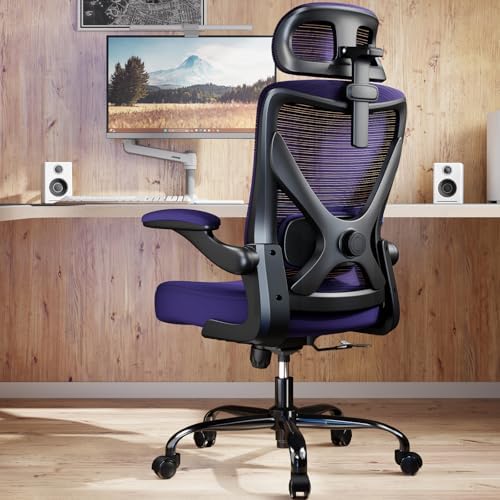 Ergonomic Office Chair: Mesh Desk Chair Comfy with Headrest& Lumbar Support by Ergalithic