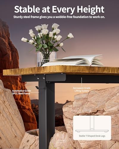 BIZUM Standing Desk Electric Adjustable Computer Desk-Stand up Desk Office Gaming Home Office Memory Desks 48x24 inches Black Frame/Rustic Brown Top - Image 5