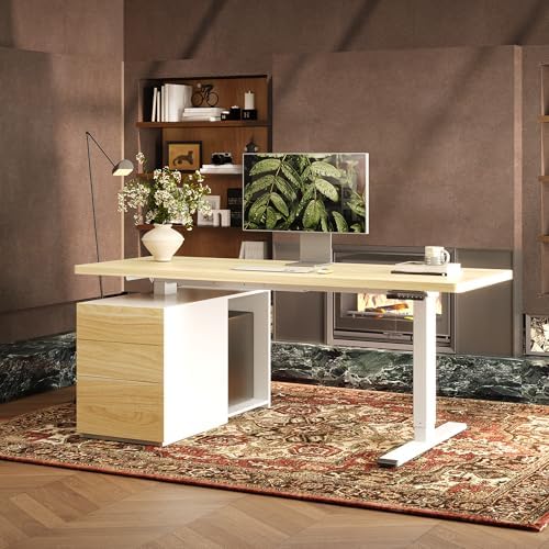 FLEXISPOT 60" Executive Standing Desk with Drawers & CPU Cabinet by Unknown