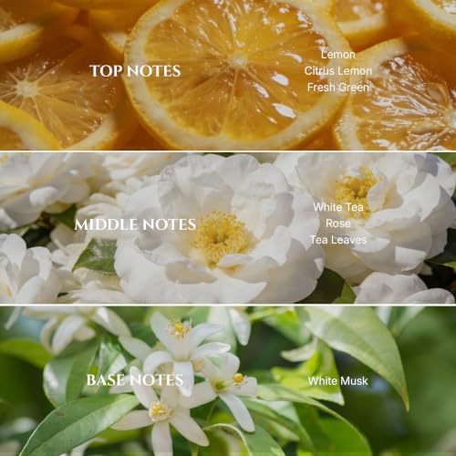 Aromadd White Tea Diffuser Oil Inspired by Luxury Hotel Scent, 200 mL - Image 2
