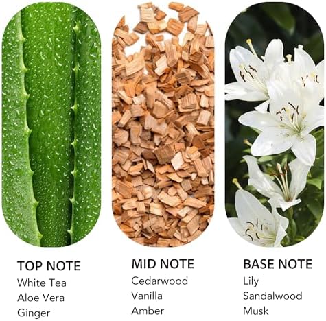 Luxury Hotel Scent Dream On Diffuser Oil 200ml Waterless White Tea Refill - Image 4