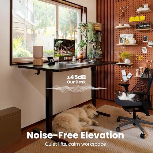 ErGear Height Adjustable Electric Standing Desk, 40 x 24 Inches Sit Stand up Desk, Memory Computer Home Office Desk, Carbon Fiber Black - Image 6