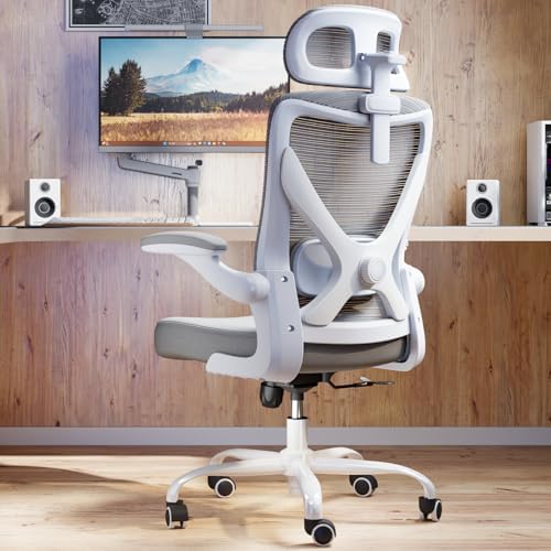 Ergonomic Office Chair: Mesh Desk Chair Comfy with Headrest& Lumbar Support by Ergalithic