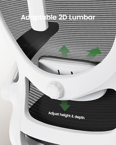 Marsail Ergonomic Office Chair: Office Desk Chair with High Back Mesh and Adjustable Lumbar Support Rolling Work Swivel Task Chairs with Wheel 3D Armrests and Headrest - Image 4