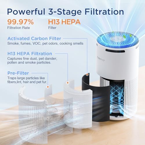 DBFIT Air Purifiers for Large Rooms, 1500ft², Timer and Aromatherapy, Quiet - Image 3