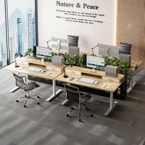 Grandder Electric Standing Desk with Two Drawers, Sit to Stand Up Height Adjustable Desk with Storage Shelf for Home Office, 63 * 24 Inch, Study, Ergonomic Adjustable Computer Desk, Oak - Image 2