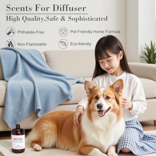 Hotel Collection Varrois Ambre Essential Oil – Luxury Scent, 16.9oz - Image 4