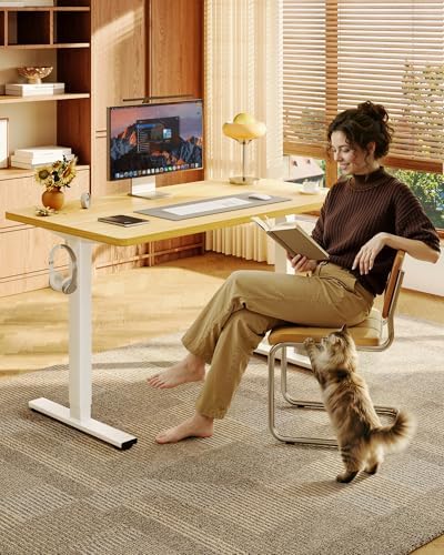 FLEXISPOT EN1 48"x24" One-Piece Standing Desk, Maple - Image 2
