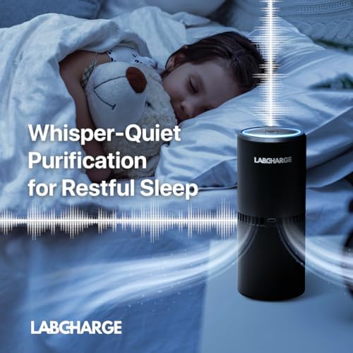 LabCharge Small Ionic Air Purifier for Home & Bedroom – Silent HEPA Filter – Covers 250 Sq Ft – For Pet Hair, Smoke, Dust, Odors & Dander – Compact Black Design – Pack of 5 - Image 4