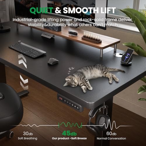 SIAGO Black 48x24 in Electric Standing Desk, 0.8 Inch Thick Tabletop - Image 6