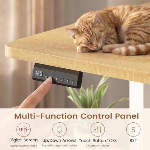 SEDETA 61" Electric Standing Desk with Storage Drawers, Height Adjustable Office Executive Desk with File Drawer, Stand up Computer Desk with Power Outlet for Home Office, Oak - Image 5