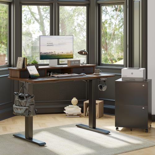 TIQLAB 48 * 24 inch Standing Desk with Two Drawers&Top Shelf, Black Walnut - Image 2
