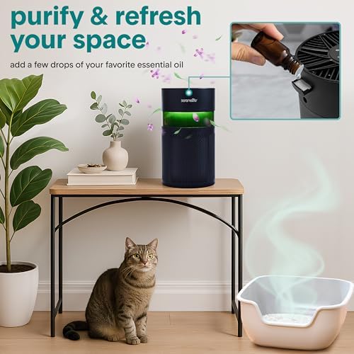SereneLife Portable Air Purifier - Small Air Purifier with Aroma Box & Ambient Light, High Filtration Efficiency, 2-Speed, Timer & Sleep Mode, Filter Change Reminder, 6 x 6 x 12 in. (Black) - Image 4
