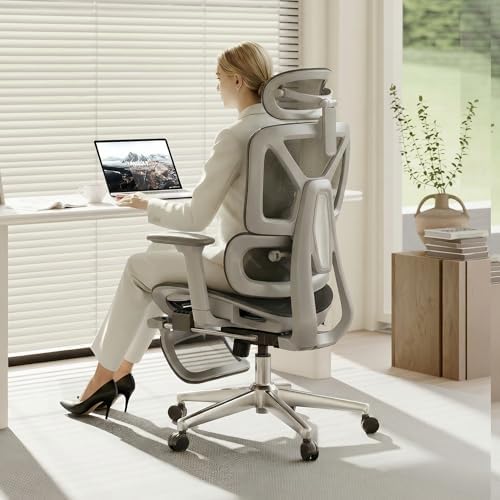 FLEXISPOT ErgoX Premium Ergonomic Office Chair Light Grey-FT by Unknown