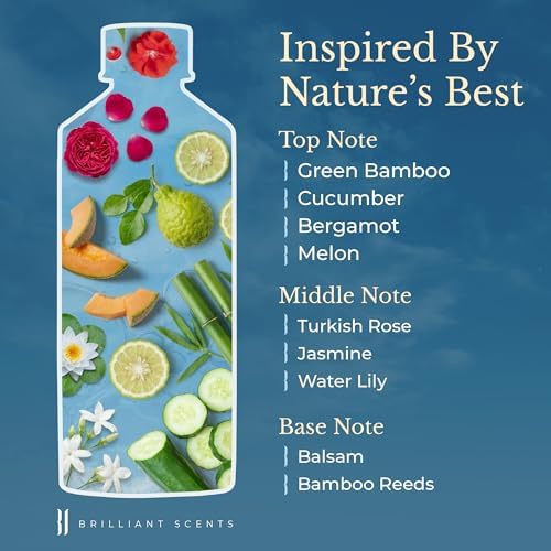 Brilliant Scents Golden Bamboo Fragrance Oil for Diffuser, 120ml - Inspired by Trump Tower Hotel Scent - Premium Home & Hotel Essential Oils for Waterless & Cold Air Diffuser, USA Made - Image 3