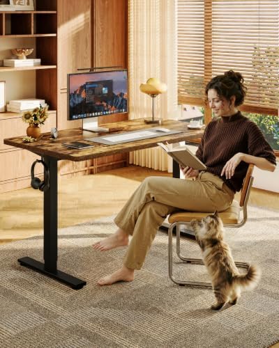 FLEXISPOT EN1 48"x24" One-Piece Standing Desk, Rustic (Black Frame) - Image 2