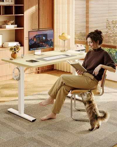 FLEXISPOT EN1 40"x24" One-Piece Standing Desk, White Wood Grain - Image 2