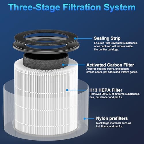 Tailulu D10 Official Air Purifier Replacement Filter（2 Pack） - Image 2