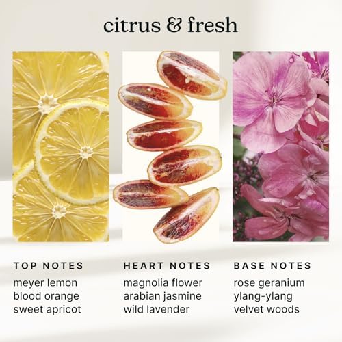 Homedics SereneScent Waterless Diffuser Oil Refill — Amalfi Bliss (120ml) - Image 3